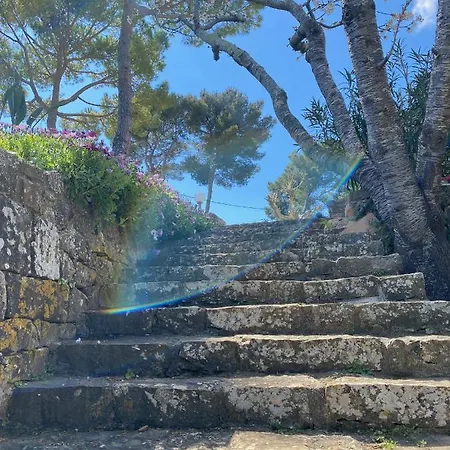 Willa Domaine Des Encourdoules Luxueuse Et Raffinee Sur Un Hectare Face A La Vallauris